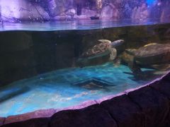 -多彩贵州城极地海洋世界