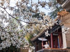 -潭柘寺景区