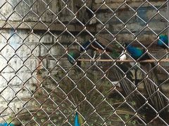 动物园-东湖公园