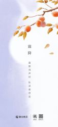 -YESIDO椰岛美容