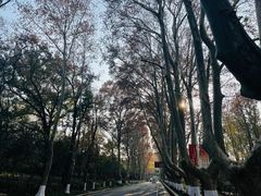 -紫霞湖公园