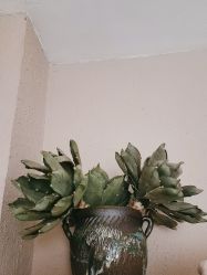 -香秀空间科技抗衰·美容中心