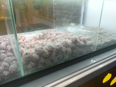 -黑孩油栗皇(南阳路店)