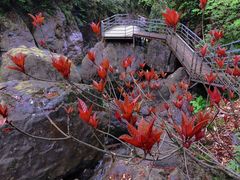 -龙苍沟森林公园