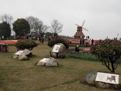 -杭州湾海上花田景区