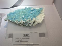 -湖南省地质博物馆