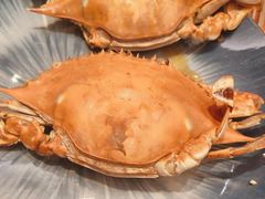 -烟台金海岸希尔顿酒店·開自助餐厅