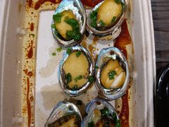 鲍鱼-盒马鲜生(189购物中心店)