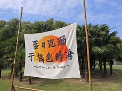 -祥源·阜阳生态乐园