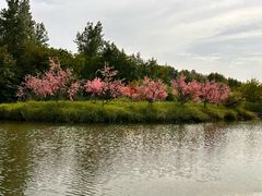 -常德桃花源景区