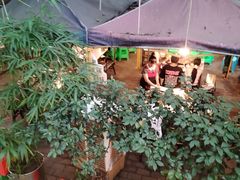 -菜园坝老火锅(金岛店)