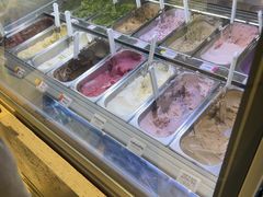-鹤茶野所(上海首店)