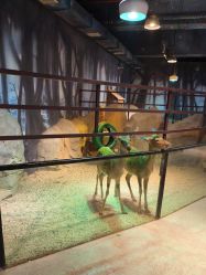 -酷嗒动物文化乐园(cutezoo西溪乐天城店)