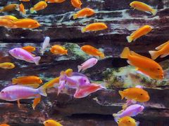 -多彩贵州城极地海洋世界