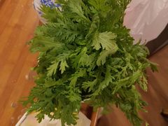 -芦月轩羊蝎子(劲松店)