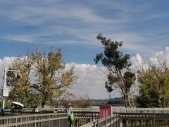 -捞渔河湿地公园