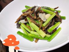 黑枞菌炒芦笋-千日贺茶餐厅(高新万达店)