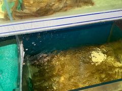 -蛙太牛牛肉海鲜自助火锅(台江万达店)