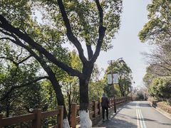 -杭州半山国家森林公园