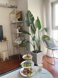 -演员的秘密·皮肤管理