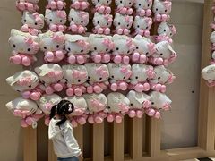 -安吉银润锦江城堡酒店(Hello Kitty主题乐园店)