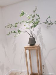 -清疣美疣·痣·斑净肤中心