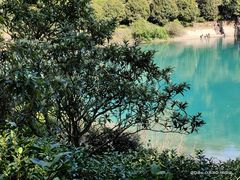 -九龙潭景区