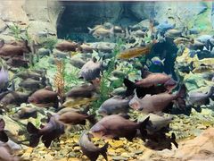 -波塞冬旅游度假区