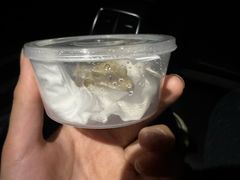 -酷以爬仙阁实体爬宠店·守宫·蜥蜴·专业繁育