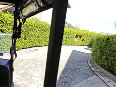 -普吉岛凯悦酒店