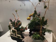 -杭州植物园