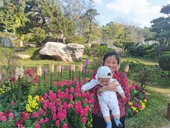 -东莞植物园