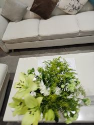 -HEYAN荷妍专业脱毛连锁机构