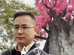 -天适樱花悠乐园