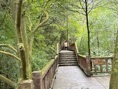 -神龙峡风景区