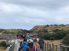 -企鹅岛