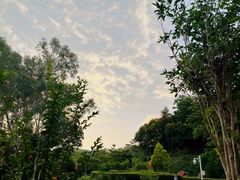 -老佛爷铜炉蛙锅(坂田佳华领汇店)