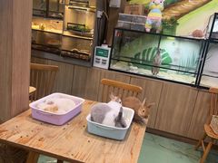 -藦茜花园宠物主题亲子互动体验馆(国顺东路店)