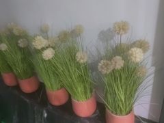 -唐宫足道·SPA·住宿24H会所(木渎店)