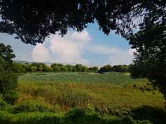 -上海市保健医疗中心