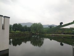 -帐篷客·溪龙茶谷度假酒店