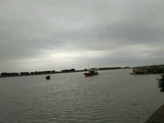 -大湾区中央湿地公园-十九涌