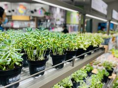 -鹿岛会员店(熙地港店)
