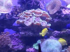-青岛海底世界-水族馆