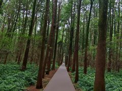 -同里国家湿地公园