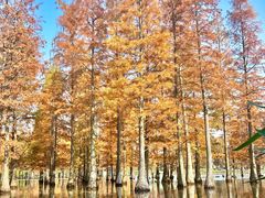 -白鹭湾湿地公园