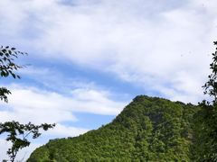 -秦岭天竺山生态文化旅游景区