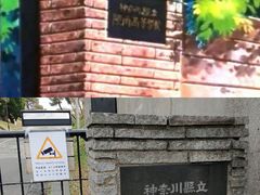 -灌篮高手动画打卡地