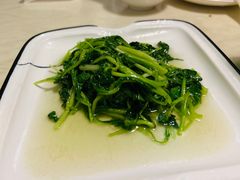 清炒鸡毛菜-19号私房菜(云南路店)