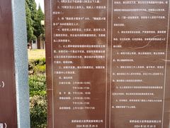 -吴桥杂技大世界